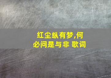 红尘纵有梦,何必问是与非 歌词